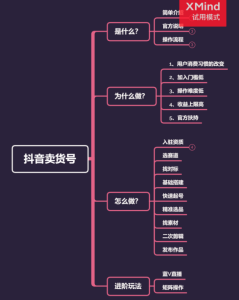 项目拆解08抖音混剪卖货号-前行者团队