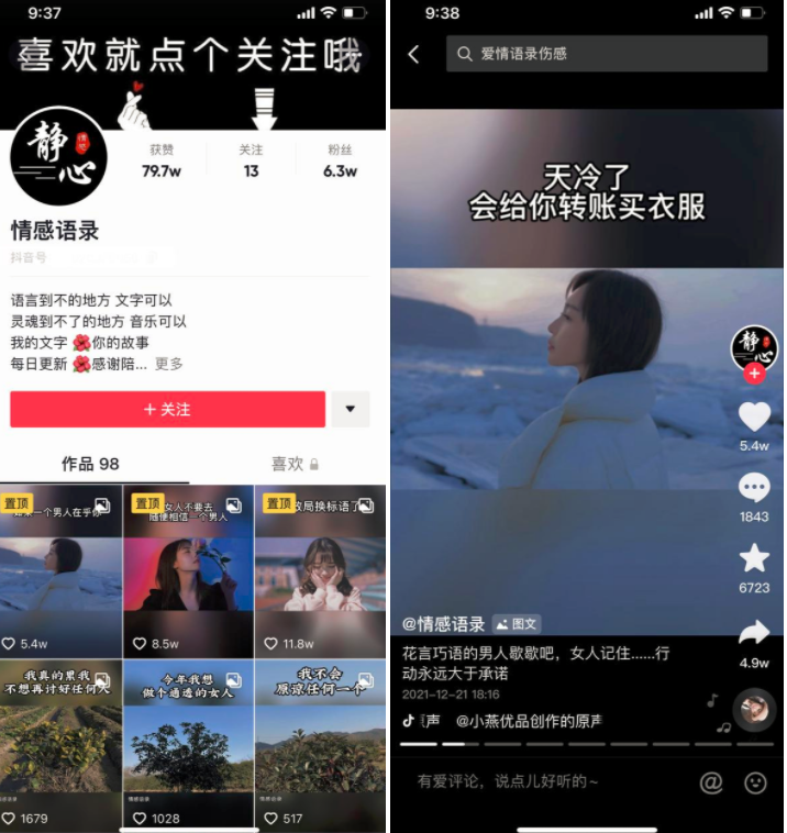 图片[3]-项目拆解24抖音情感号-前行者团队