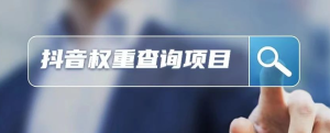 抖音权重查询项目，半无人直播，单人日赚2000+-前行者团队
