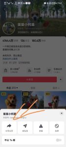 短视频解析神器，一键下载作者主页所有作品-前行者团队