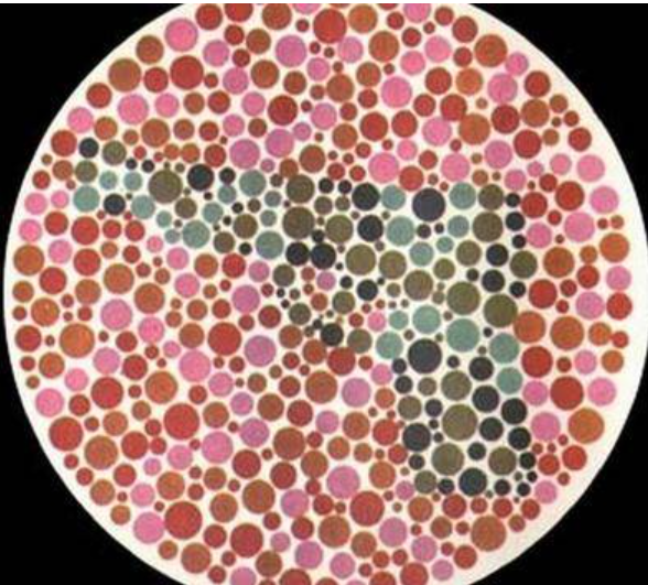 20231130153318753-309395e4fc36c17cd1dbf694e30c563f